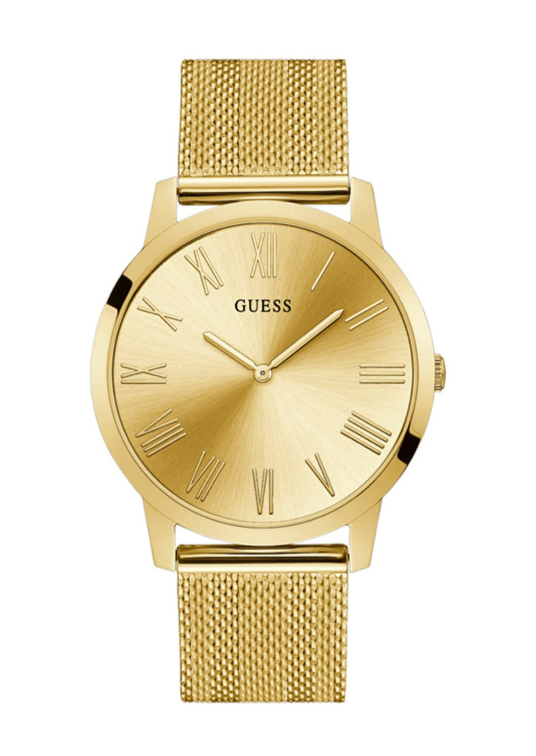 Gold Mesh Roman Numeral Watch