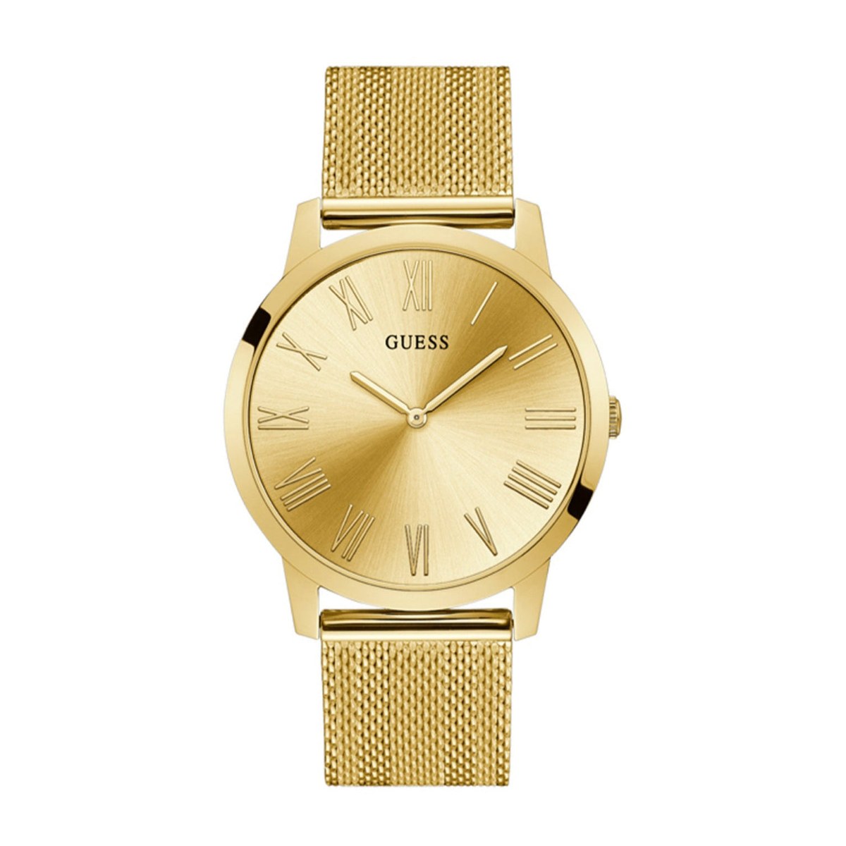 Gold Mesh Roman Numeral Watch